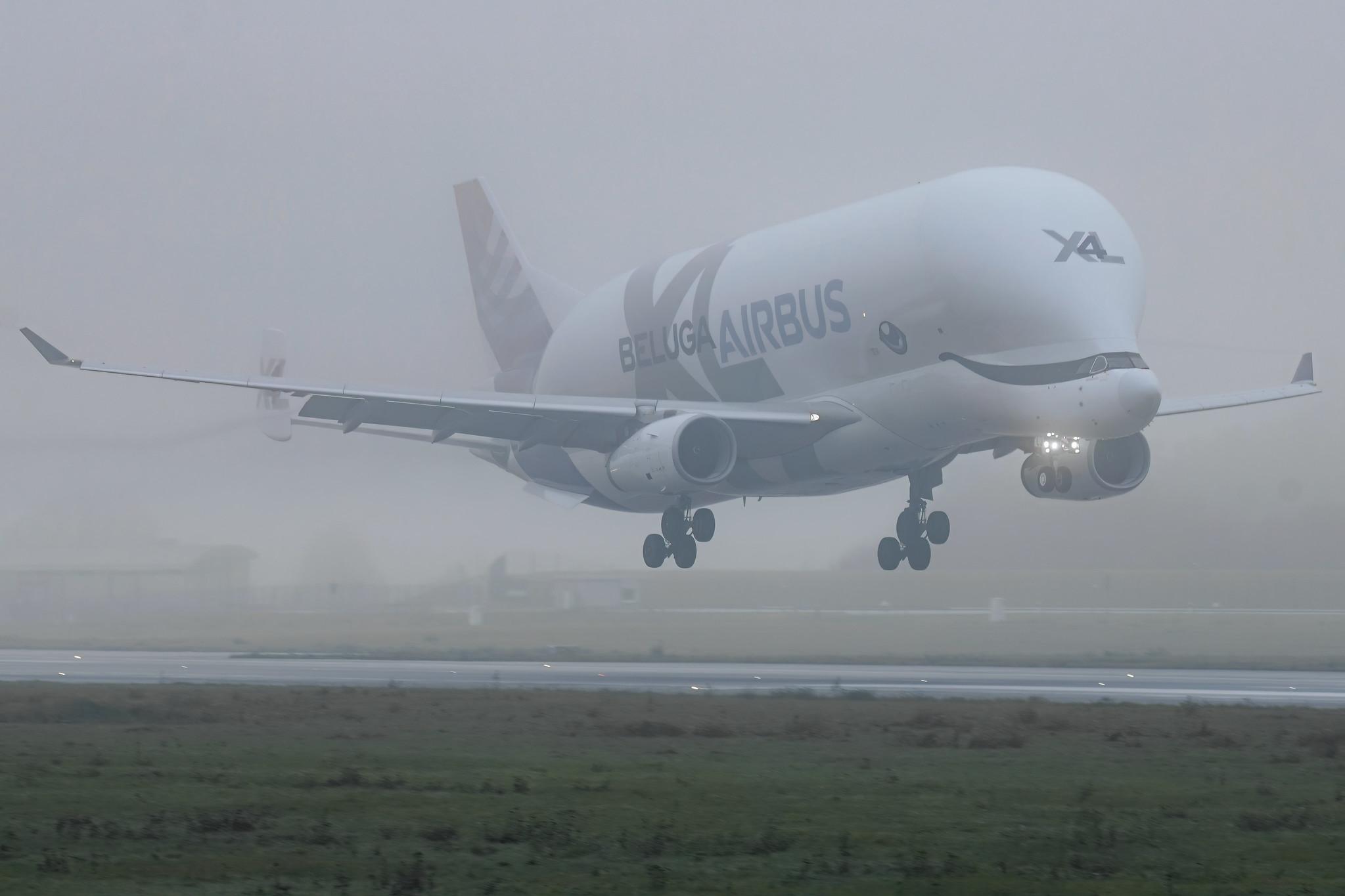 Hamburg Finkenwerder: Airbus Transport International (4Y / BGA) | Airbus A330-743L Beluga XL A337 | F-GXLJ | MSN 1985