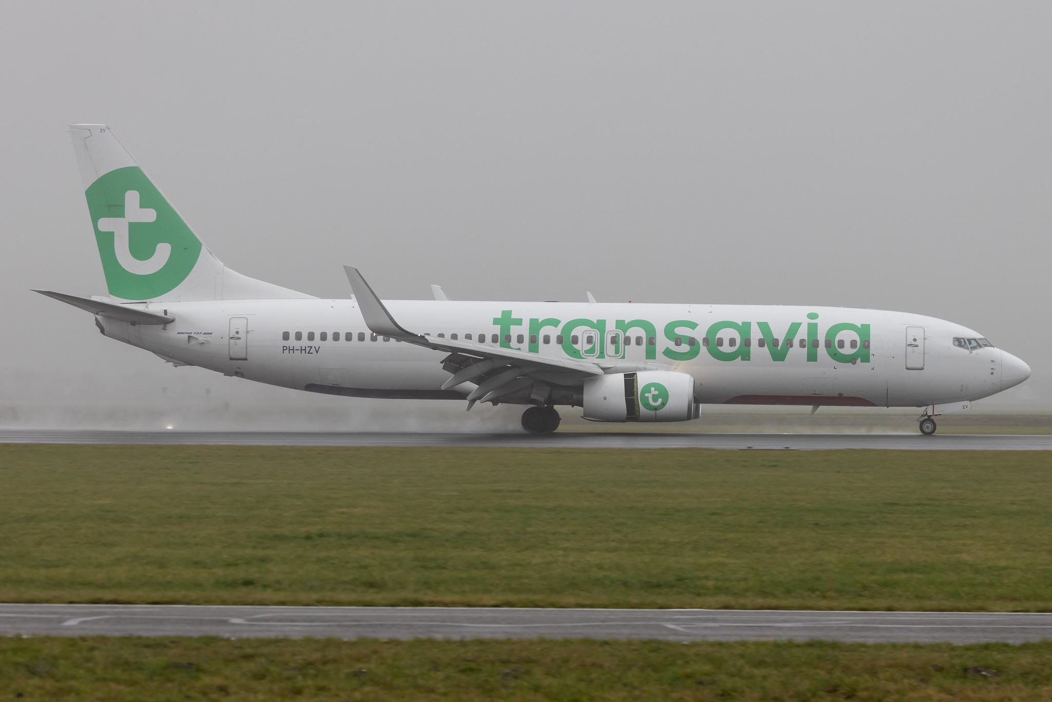 Amsterdam Schiphol: Transavia (HV / TRA) |  Boeing 737-8K2 B738 | PH-HZV | MSN 30650