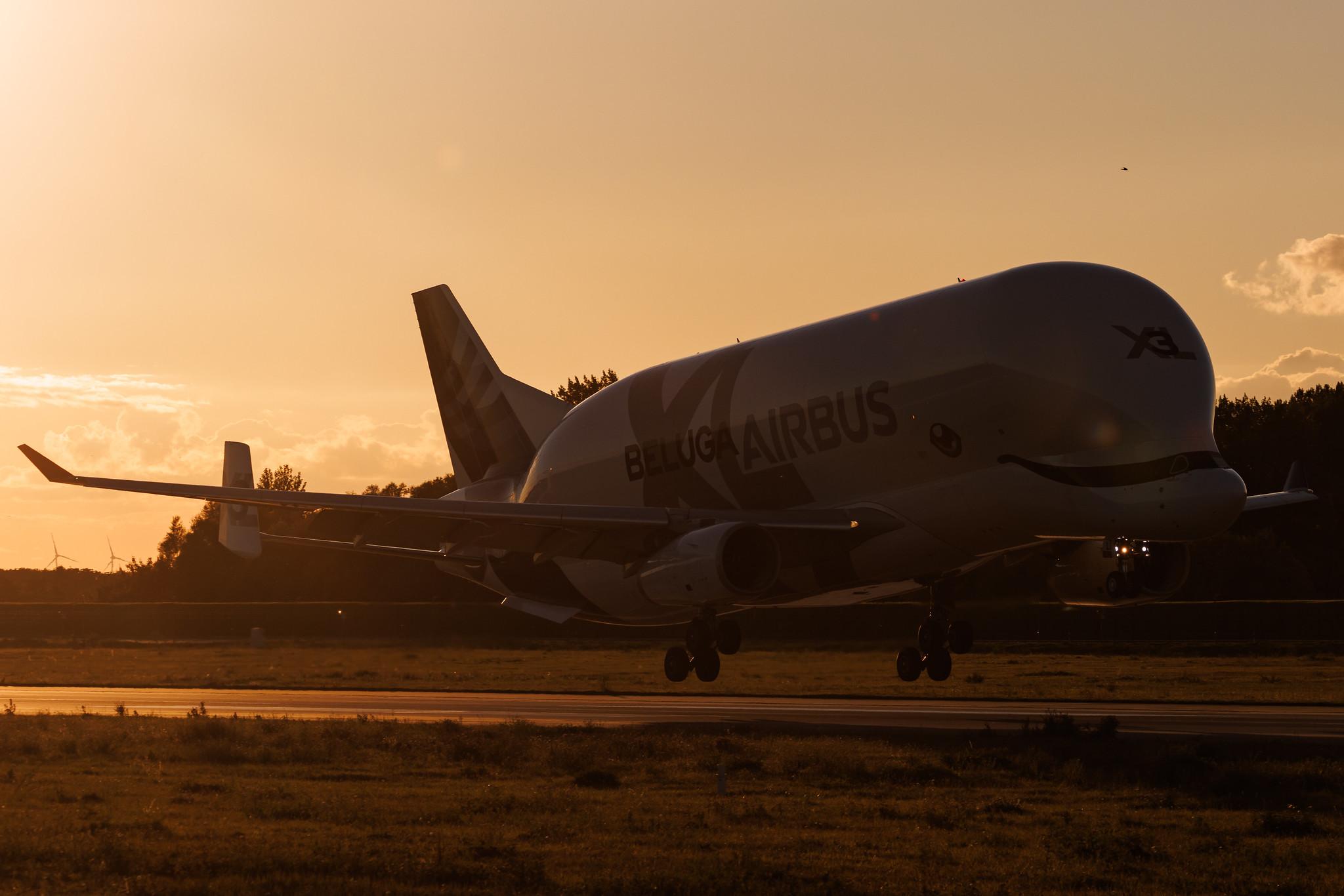 Hamburg Finkenwerder: Airbus Transport International (4Y / BGA) | Airbus A330-743L Beluga XL A337 | F-GXLI | MSN 1930