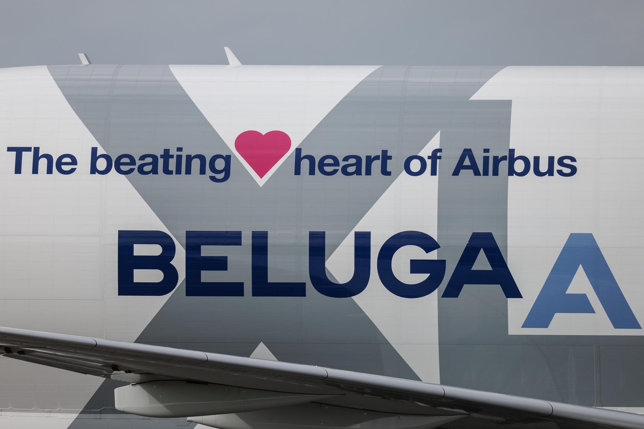 Hamburg Finkenwerder: Airbus Transport International (4Y / BGA) | Airbus A330-743L Beluga XL A337 | F-GXLO | MSN 2041