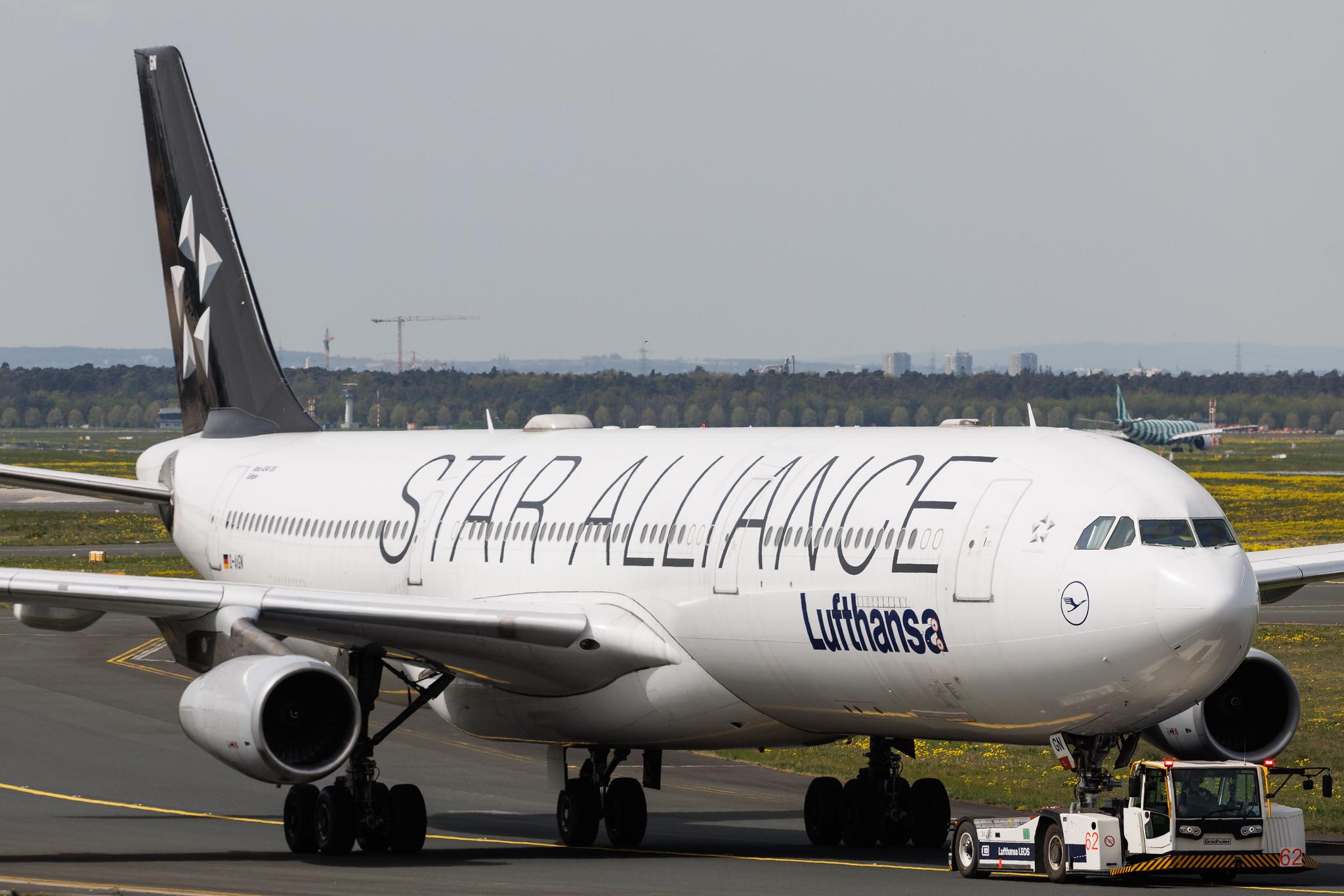 Frankfurt Airport: Lufthansa (LH / DLH) | Livery: Star Alliance Livery | Airbus A340-313 A343 | D-AIGN | MSN 0213