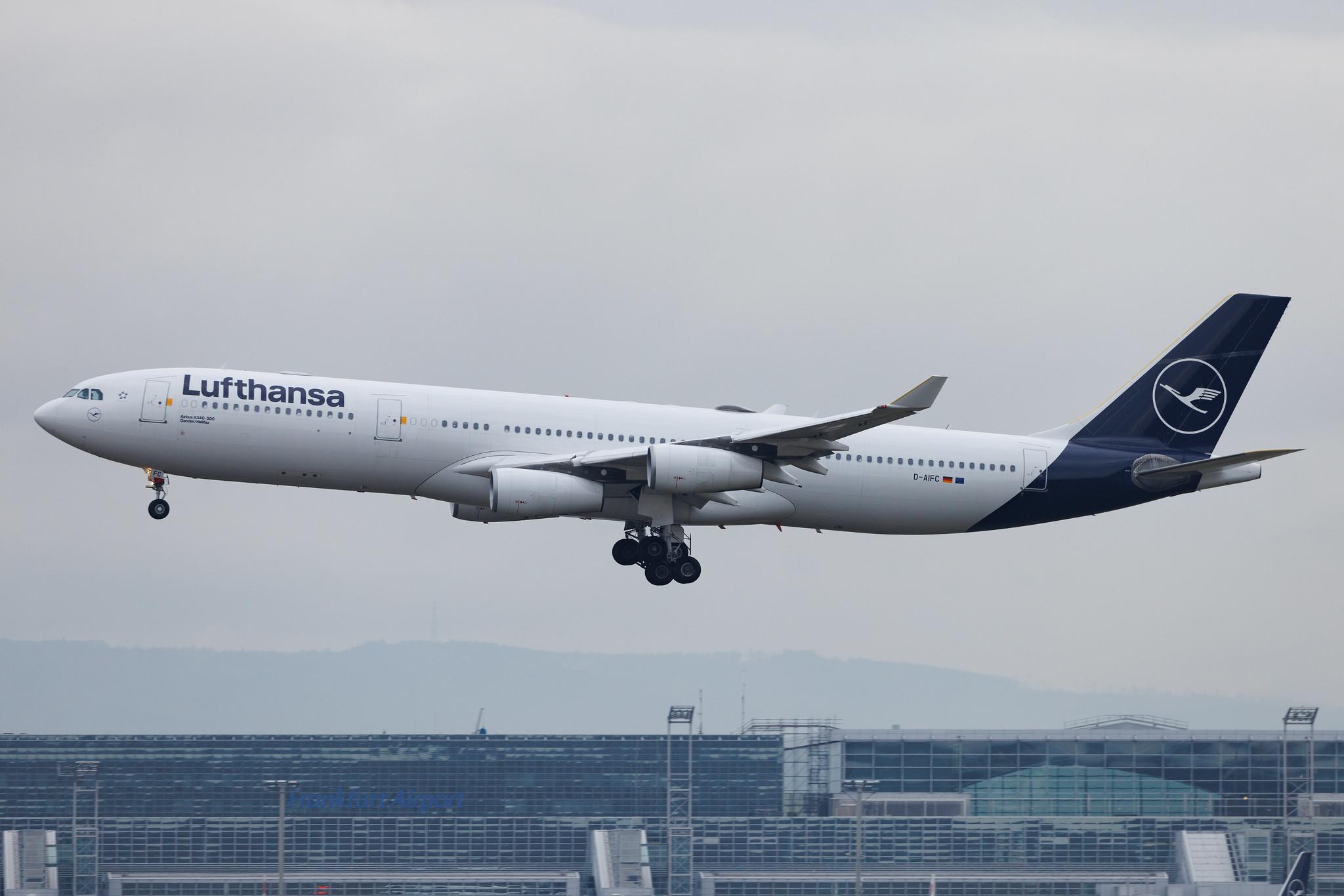 Frankfurt Airport: Lufthansa (LH / DLH) | Airbus A340-313 A343 | D-AIFC | MSN 0379